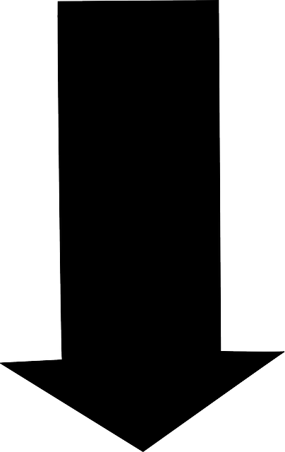 تنزيل مجاني Arrow Down Black - رسم متجه مجاني على رسم توضيحي مجاني لـ Pixabay ليتم تحريره باستخدام محرر صور مجاني عبر الإنترنت من GIMP