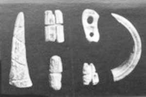 Free download Arrowheads, needles, hooks and harpoons free photo or picture to be edited with GIMP online image editor