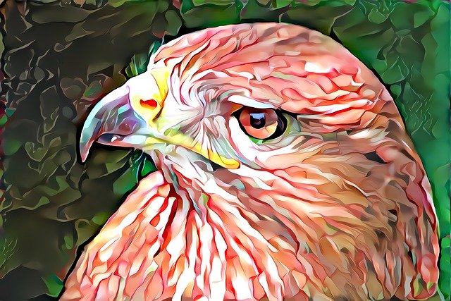הורדה חינם Art Bird Prey - איור חינם לעריכה עם עורך תמונות מקוון בחינם של GIMP