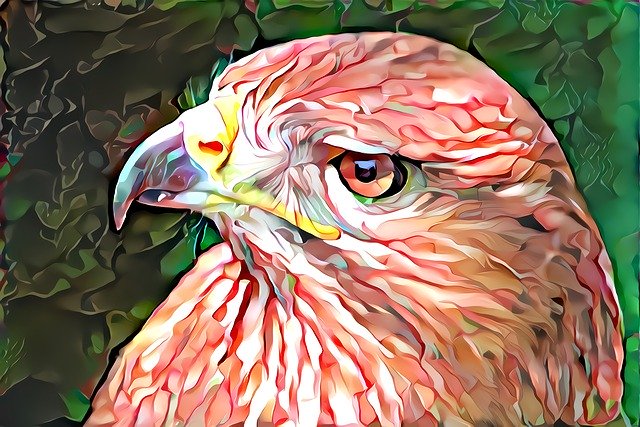 Download grátis Art Bird Prey - ilustração grátis para ser editada com o editor de imagens online grátis do GIMP