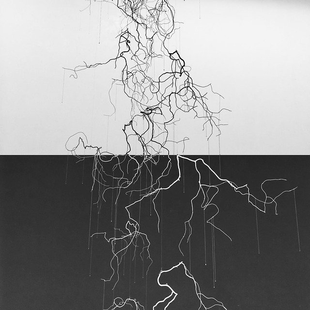 Free download Art Branch Black And White In -  free illustration to be edited with GIMP free online image editor