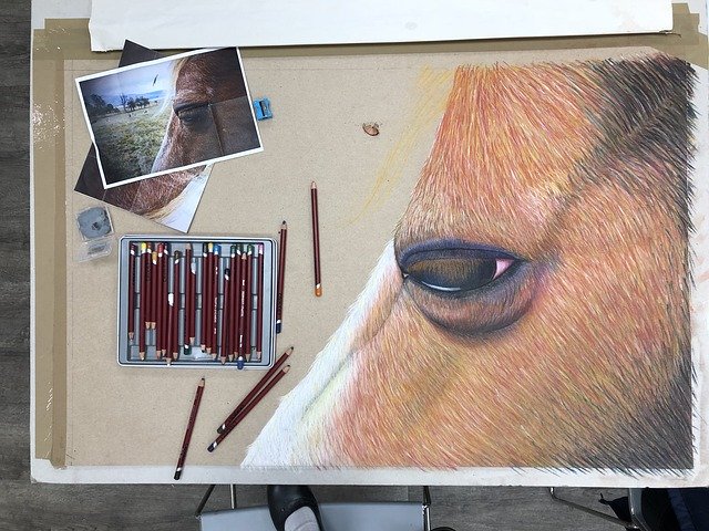 Free download Art Drawing Horse -  free photo or picture to be edited with GIMP online image editor