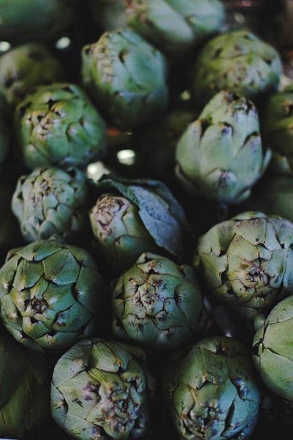 Free download artichoke fresh artichoke background free picture to be edited with GIMP free online image editor