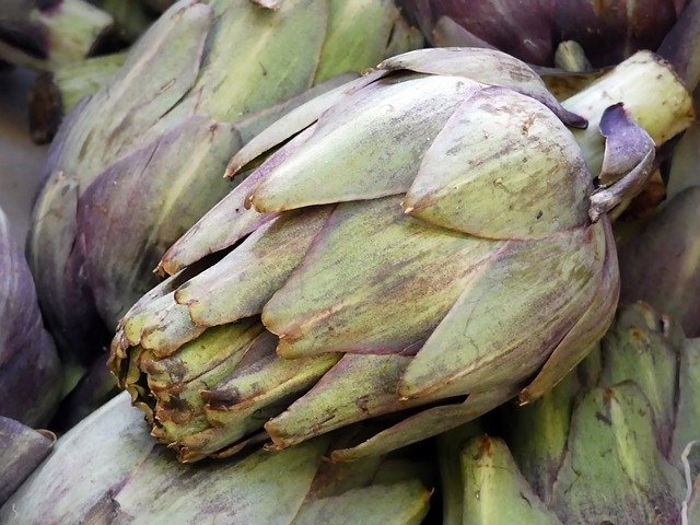 Gratis download Artichoke Violet Vegetable - gratis foto of afbeelding om te bewerken met GIMP online afbeeldingseditor