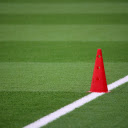 Artificial green turf  screen for extension Chrome web store in OffiDocs Chromium