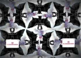 Free download ART IMITATES ART 2 free photo or picture to be edited with GIMP online image editor