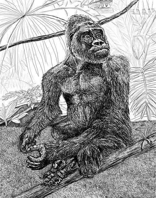 Free download Art Portrait Gorilla -  free illustration to be edited with GIMP free online image editor