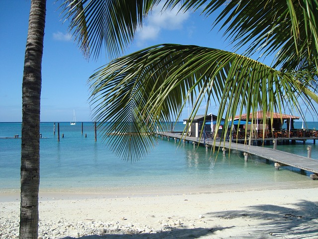 Free download aruba island the island of aruba free picture to be edited with GIMP free online image editor