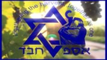 Free download ASEF CHAVAR GRAPE LOGO 1920x 1080 free photo or picture to be edited with GIMP online image editor