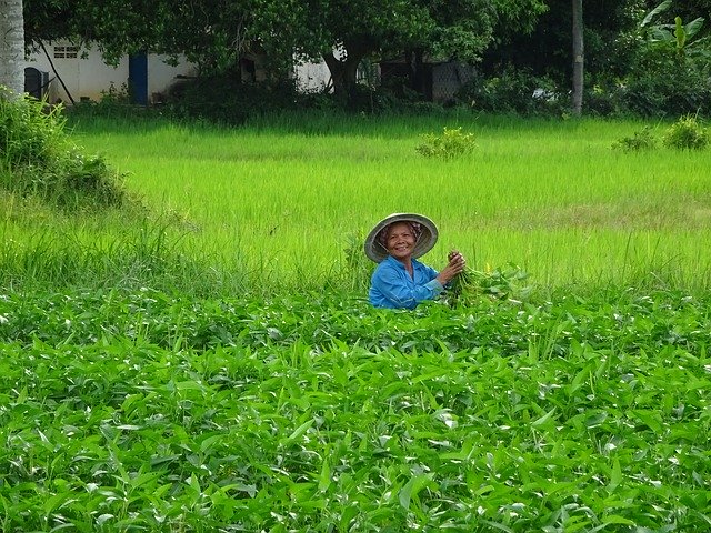 تحميل مجاني آسيا كمبوديا الإنسان - صورة مجانية أو صورة لتحريرها باستخدام محرر الصور على الإنترنت GIMP