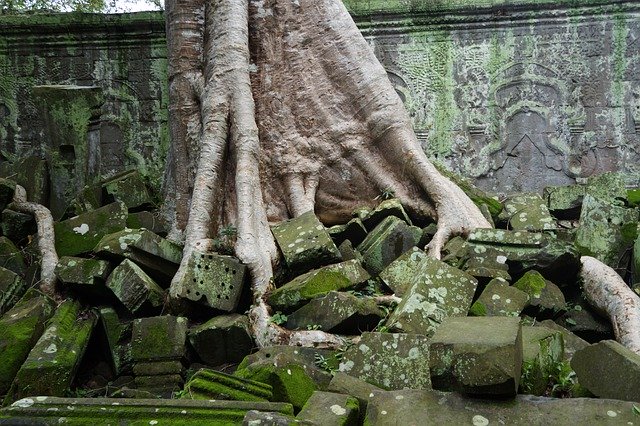 Скачать бесплатно Asia Cambodia Vietnamese - бесплатное фото или изображение для редактирования с помощью онлайн-редактора изображений GIMP