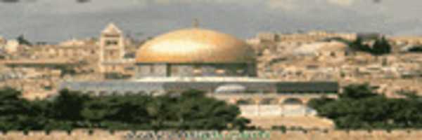 Free download asmaa-661 free photo or picture to be edited with GIMP online image editor
