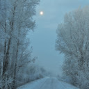 A Snow Covered Road in the Countryside  screen for extension Chrome web store in OffiDocs Chromium
