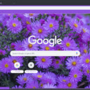 Aster  screen for extension Chrome web store in OffiDocs Chromium