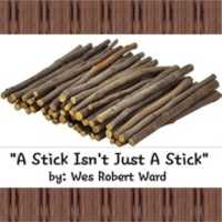 Free download A Stick Isnt Just A Stick free photo or picture to be edited with GIMP online image editor