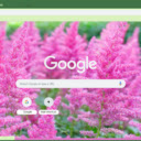 Astilbe  screen for extension Chrome web store in OffiDocs Chromium