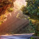 A street corner  screen for extension Chrome web store in OffiDocs Chromium