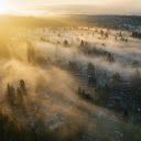 A sunrise over foggy trees and houses  screen for extension Chrome web store in OffiDocs Chromium