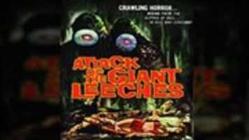 attackofthegiantleeches GIMP online editor free Free download attackofthegiantleeches free photo or picture to be edited with GIMP online image editor