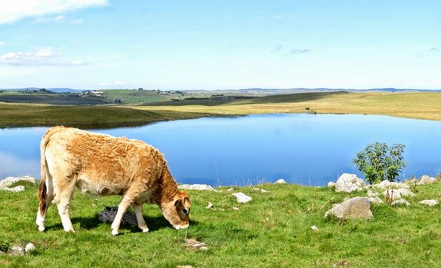 Descarga gratuita Aubrac Lake Andeol - foto o imagen gratuita para editar con el editor de imágenes en línea GIMP