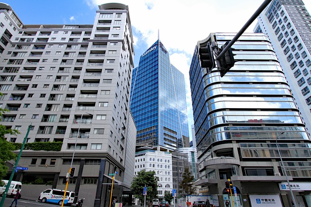 Free download auckland newzealand cityscape free picture to be edited with GIMP free online image editor