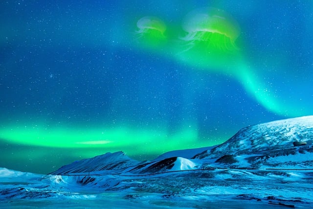 تنزيل Aurora Borealis Northern Lights مجانًا - صورة مجانية أو صورة لتحريرها باستخدام محرر الصور عبر الإنترنت GIMP