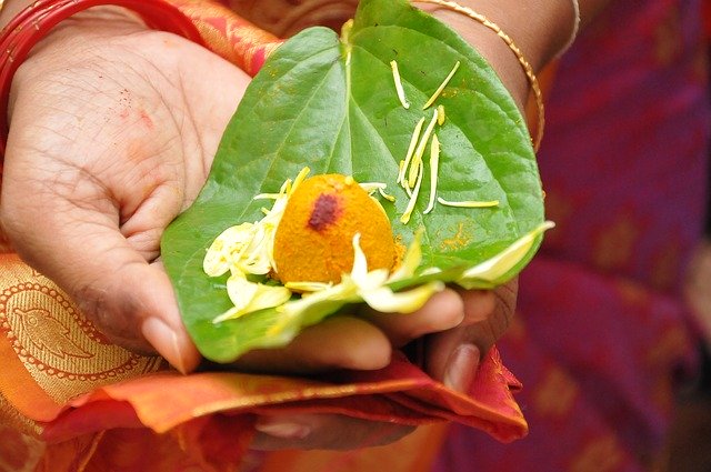 Muat turun percuma Auspicious Ganesh Pillayar Hindu - foto atau gambar percuma untuk diedit dengan editor imej dalam talian GIMP