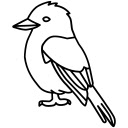 Australian King Parrot  screen for extension Chrome web store in OffiDocs Chromium