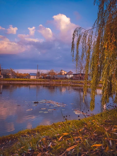 Free download autmn autumn autumn aesthetic free picture to be edited with GIMP free online image editor