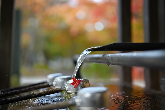Free download autumnal leaves shrine sacred water free picture to be edited with GIMP free online image editor