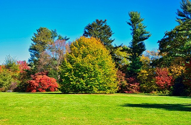 カラフルな秋の樹木園を無料でダウンロード-GIMPオンラインイメージエディターで編集できる無料の写真または画像