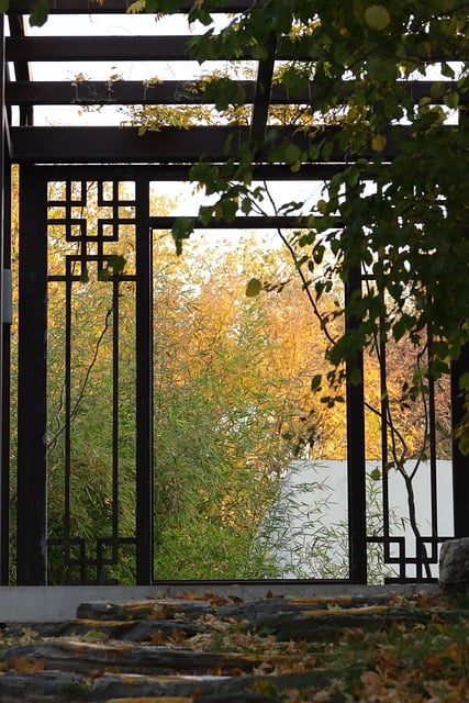 Bezpłatne pobieranie zdjęć z ogrodu w kolorach jesieni, do edycji za pomocą bezpłatnego edytora obrazów online GIMP