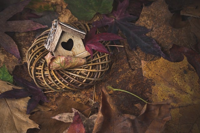 Free download autumn autumn decoration decoration free picture to be edited with GIMP free online image editor