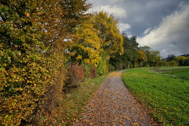 Template Photo Autumn Away Lane -  for OffiDocs