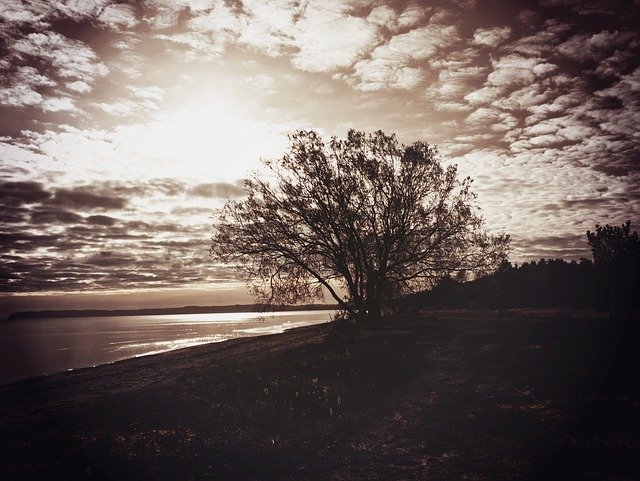 دانلود رایگان ساحل سیاه و سفید پاییز - عکس یا تصویر رایگان رایگان برای ویرایش با ویرایشگر تصویر آنلاین GIMP