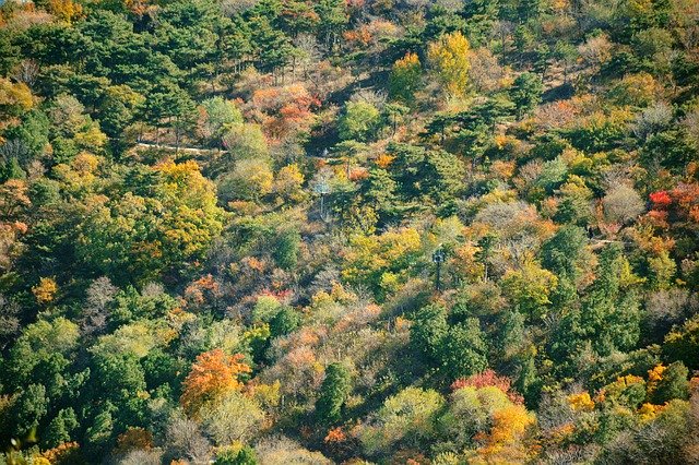 Download grátis Autumn Beijing Fragrant Hill - foto ou imagem gratuita a ser editada com o editor de imagens online do GIMP