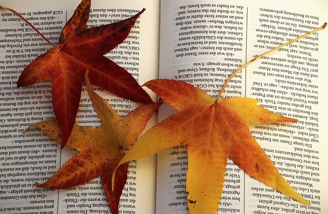 Free download autumn books library open book free picture to be edited with GIMP free online image editor