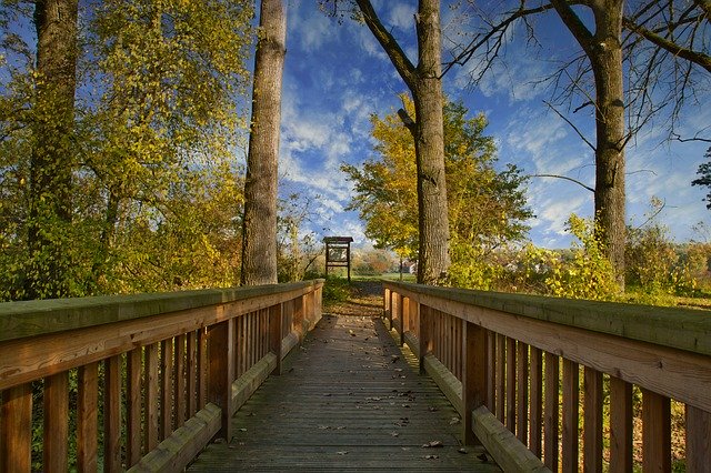 Free download Autumn Bridge Landscape -  free photo or picture to be edited with GIMP online image editor