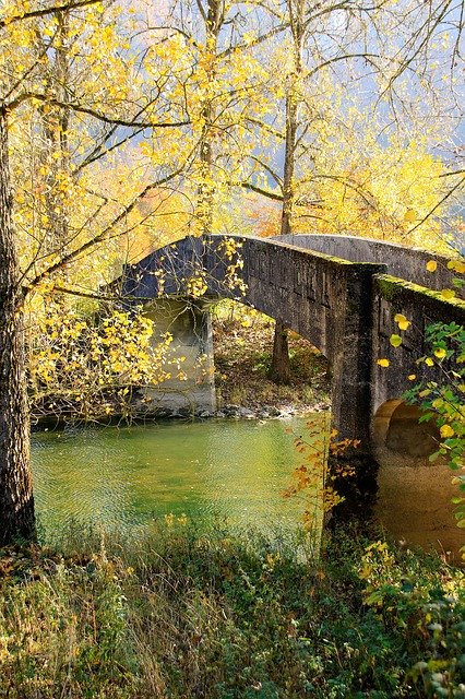 دانلود رایگان Autumn Bridge Leaves - عکس یا تصویر رایگان قابل ویرایش با ویرایشگر تصویر آنلاین GIMP