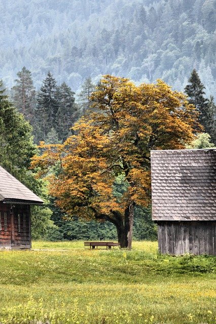Bezpłatne pobieranie Autumn Chestnut Mountains - bezpłatne zdjęcie lub obraz do edycji za pomocą internetowego edytora obrazów GIMP