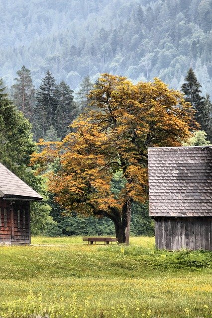 Free download Autumn Chestnut Mountains -  free photo or picture to be edited with GIMP online image editor