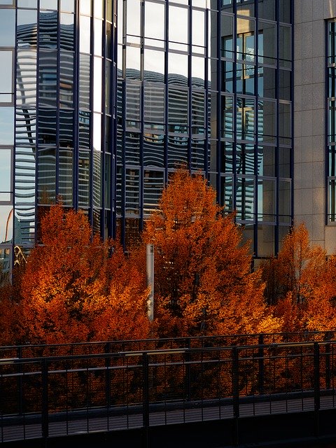 Unduh gratis Autumn City Trees - foto atau gambar gratis untuk diedit dengan editor gambar online GIMP