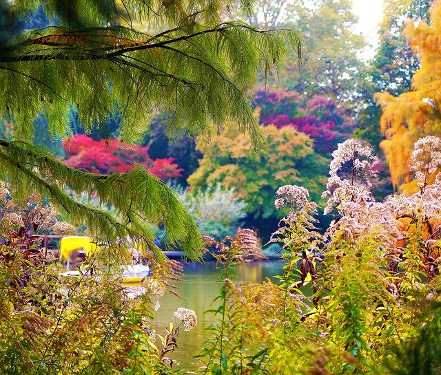 Free download Autumn Colorful Color -  free photo or picture to be edited with GIMP online image editor