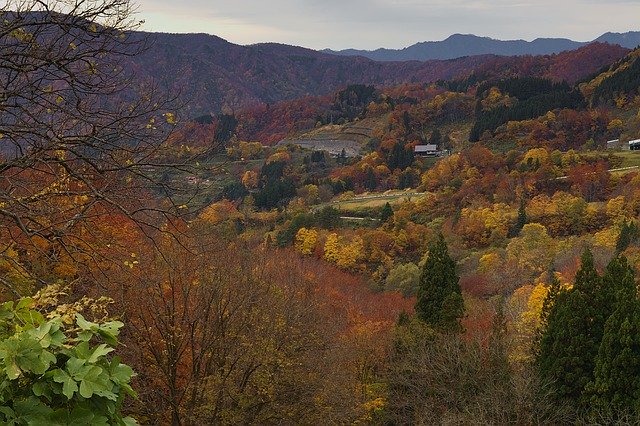 Descărcare gratuită Autumn Colorful Fall - fotografie sau imagini gratuite pentru a fi editate cu editorul de imagini online GIMP