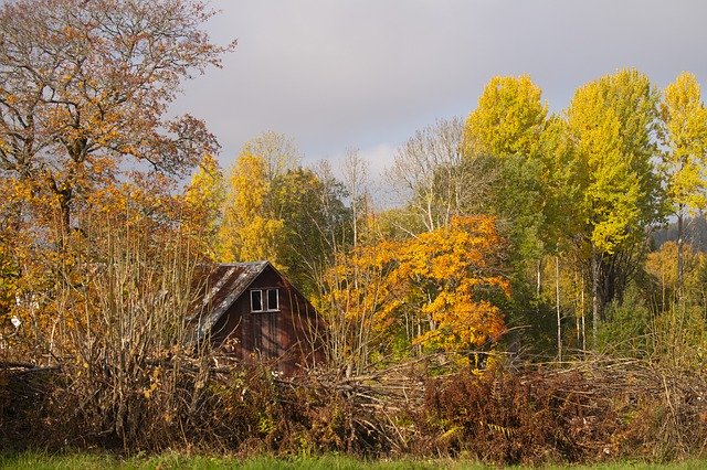 免费下载秋季色彩自然 - 使用 GIMP 在线图像编辑器编辑的免费照片或图片