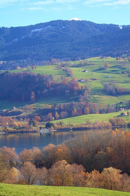 قم بتنزيل صورة مجانية لموسم الخريف بألوان الغابة وطبيعة مجانية ليتم تحريرها باستخدام محرر الصور المجاني على الإنترنت من GIMP