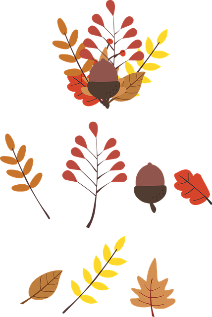 Free download Autumn Colours Fall - Free vector graphic on Pixabay free illustration to be edited with GIMP free online image editor