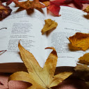 Autumn comes in every poem  screen for extension Chrome web store in OffiDocs Chromium