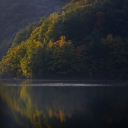 AUTUMN EVENING FOREST THEME  screen for extension Chrome web store in OffiDocs Chromium