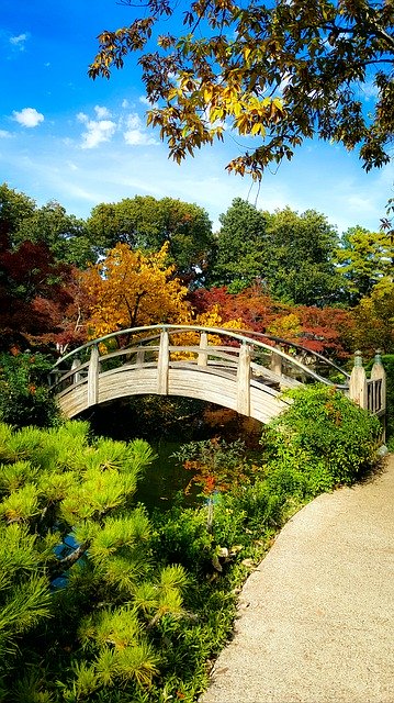 Template Photo Autumn Fall Colors Japanese Garden -  for OffiDocs